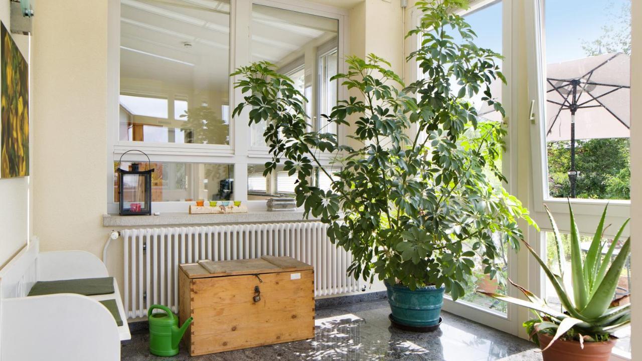 Ferienwohnung Zum Goldenen Kopf Elzach Exterior photo
